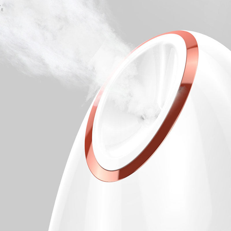 Nano Thermal Face Steamer for Deep Hydration