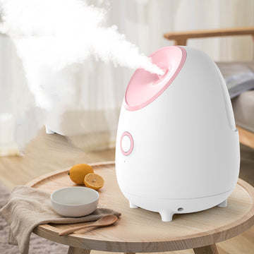 Fruit and Vegetable Facial Steamer for Home Use